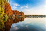西湖风光