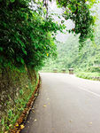 乡间道路