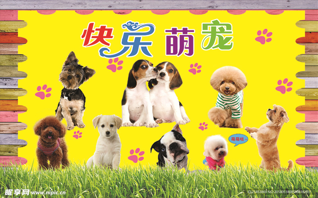 快乐萌宠
