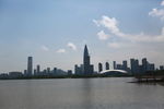 深圳湾公园