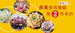 多肉蛋糕