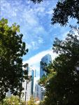青岛城市