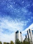 青岛城市