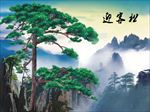 迎客松