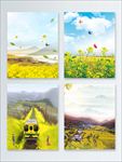 油菜花背景
