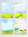 油菜花背景