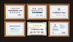 黄金视力眼贴奖牌