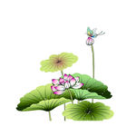 荷花 水墨