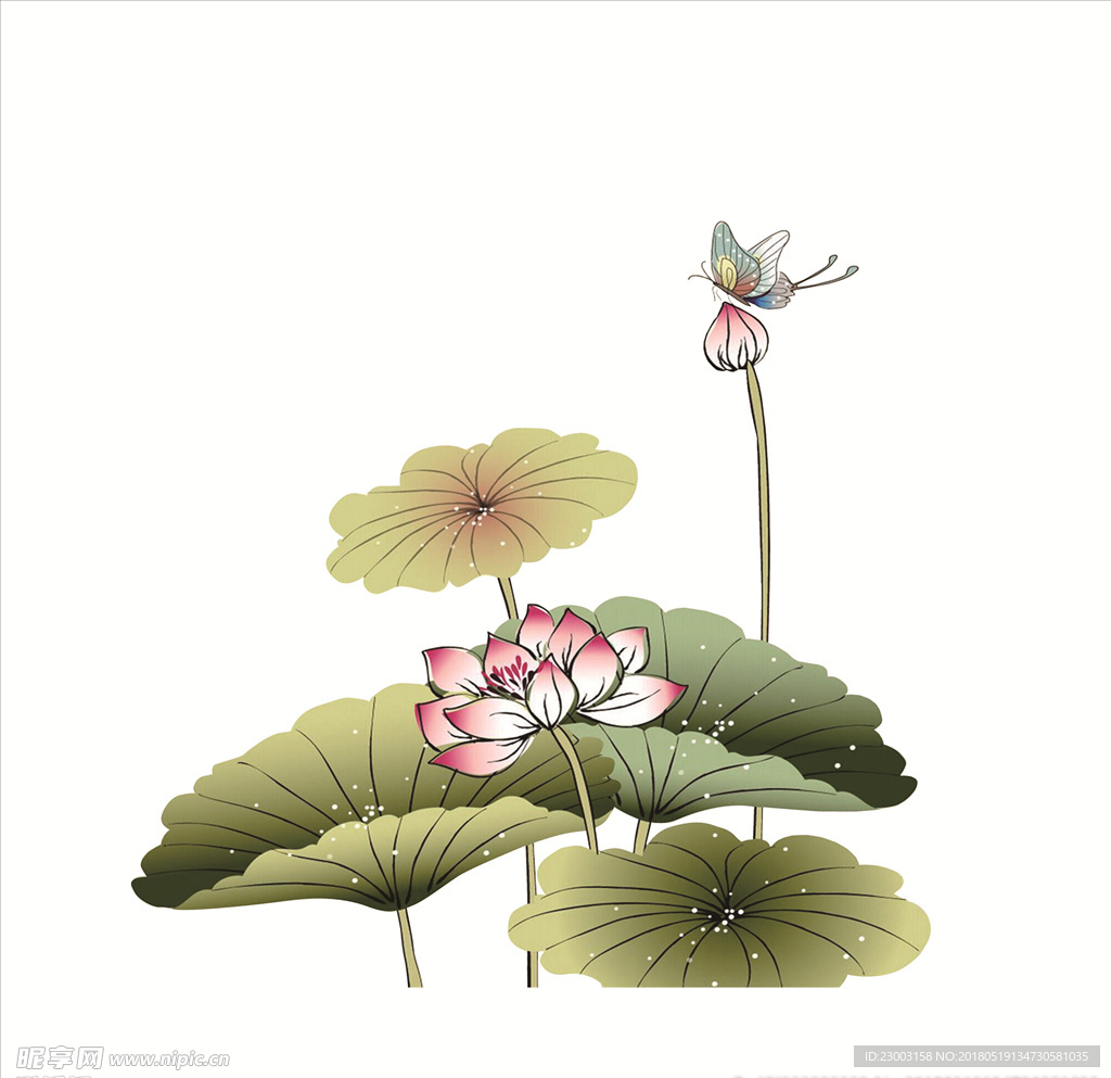 荷花 水墨