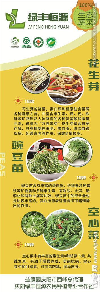 绿色生态有机蔬菜
