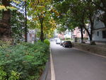 重庆大学校园小路