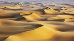 沙漠之景