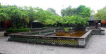粤晖园古建筑影视基地