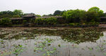 粤晖园古建筑影视基地