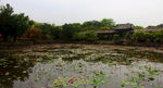 粤晖园古建筑影视基地