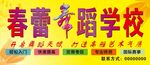 春蕾舞蹈学校