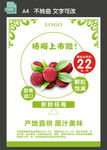 杨梅促销海报
