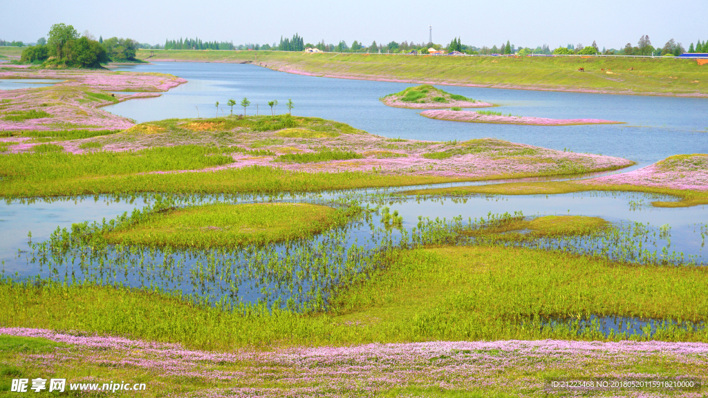 河滩美景
