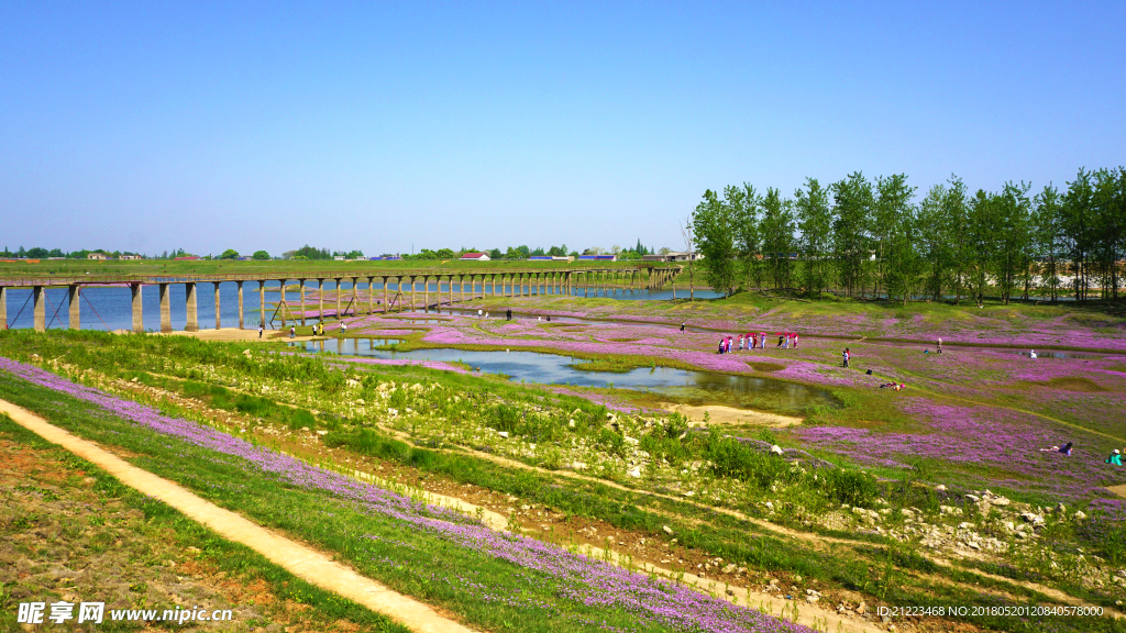 河滩风景