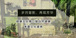 合影墙