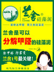 兰舍硅藻泥图片