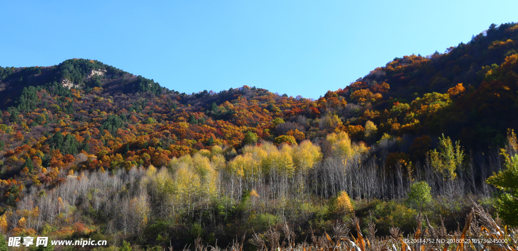 蓝天下的大山风景