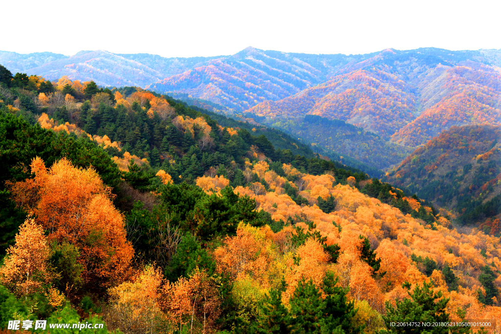秋日里的高山风景