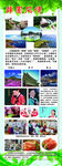 韩国风情展架图