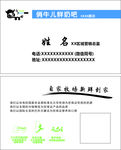 俏牛儿名片