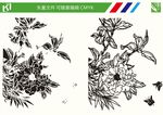 花朵线条图