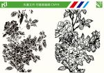 花朵线条图