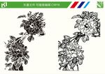 花朵线条图