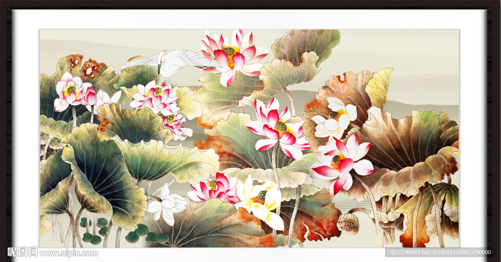 国画荷花