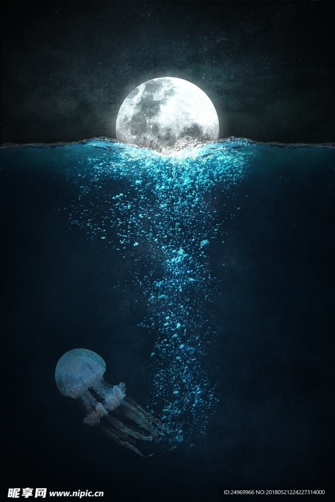 水母