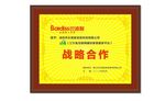 巴迪斯家装东鹏瓷砖家装 战略