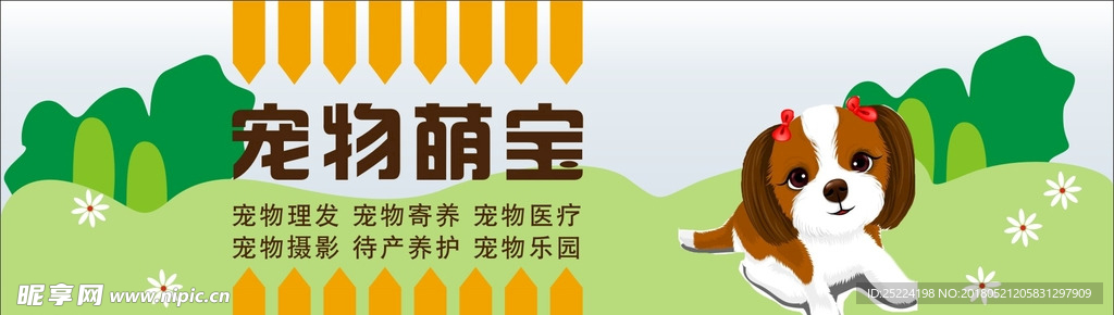 banner  海报