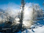 雪景