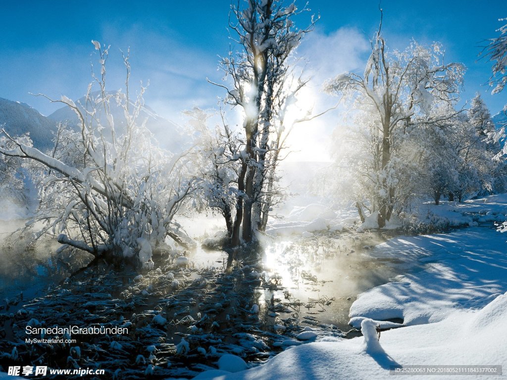雪景