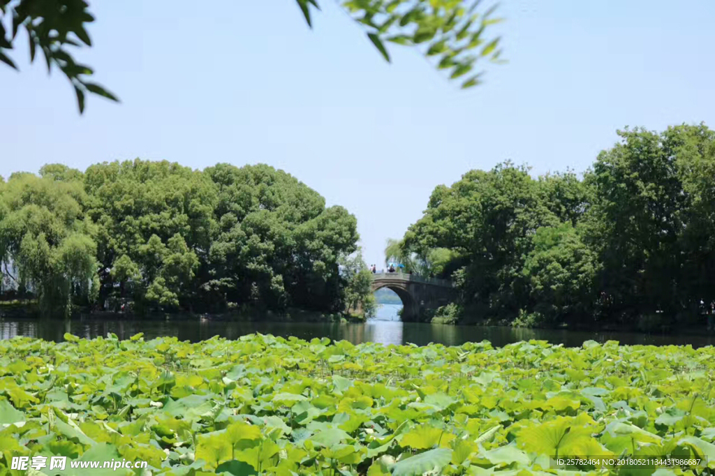 西湖美景