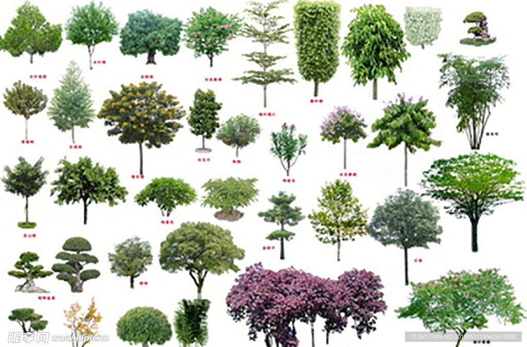 素材树绿树  各种树