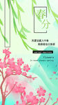 春分节气手机H5图片