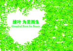 绿叶形象墙