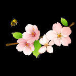 桃花矢量素材 桃花图片