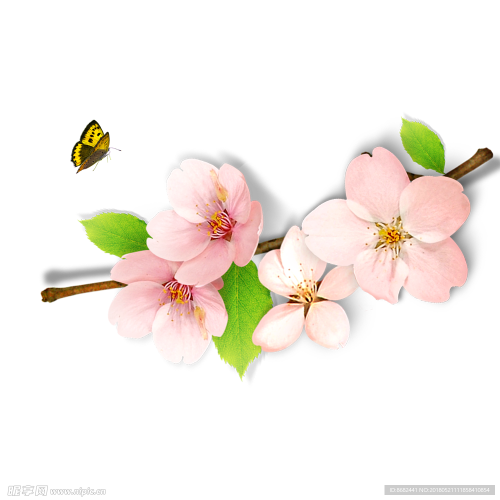 桃花矢量素材 桃花图片