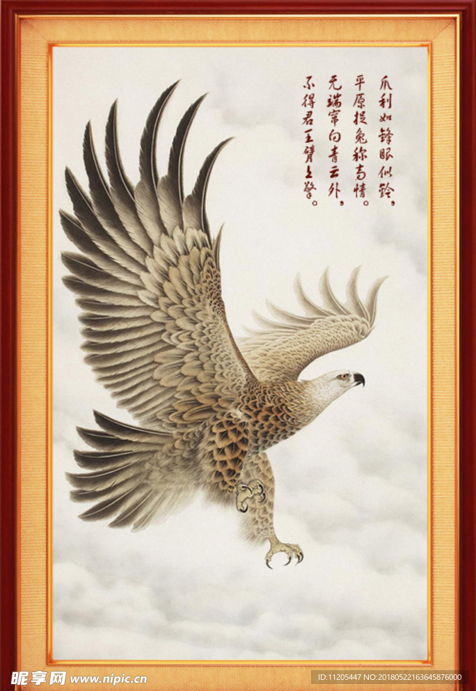 鹰
