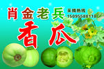 香瓜 青香瓜 新鲜水果 水果