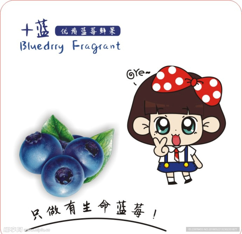 蓝莓标签