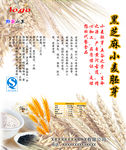 黑芝麻小麦胚芽