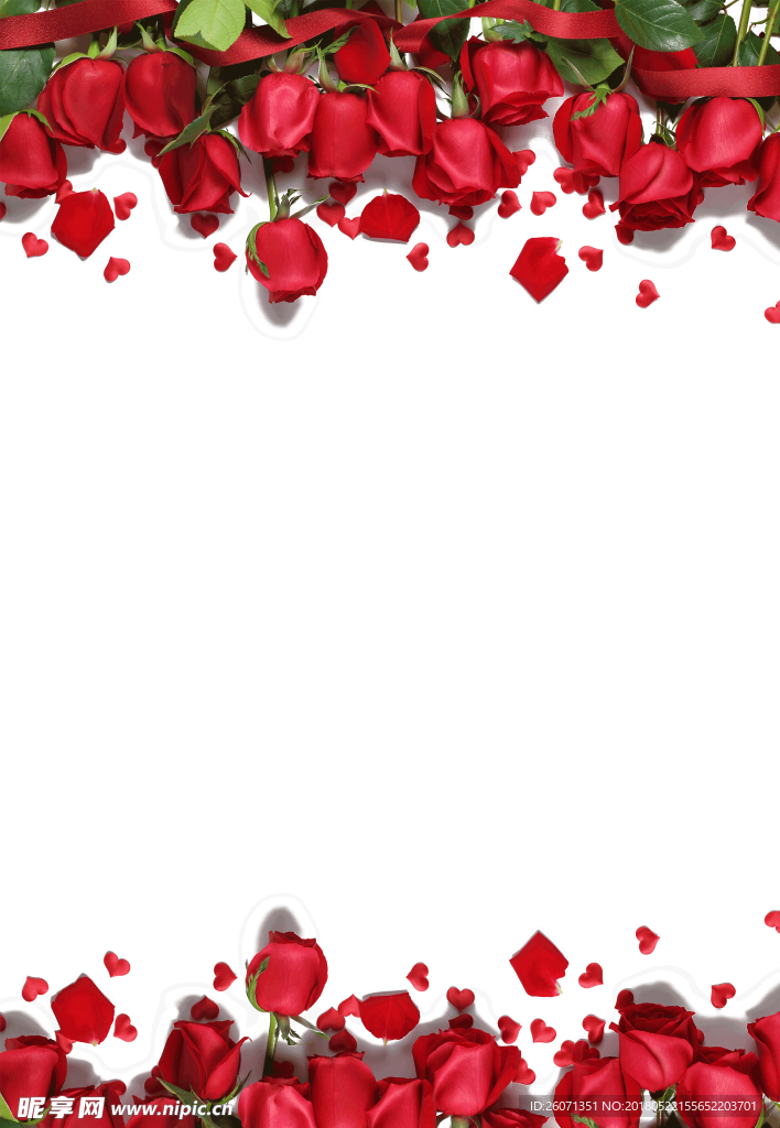 花瓣边框