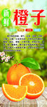 橙子